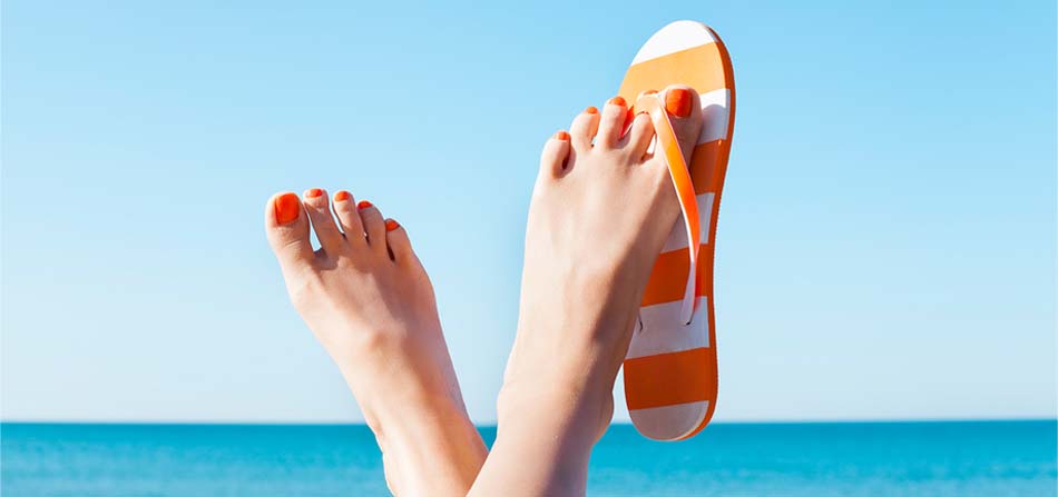 Office Policies in Sarasota, FL