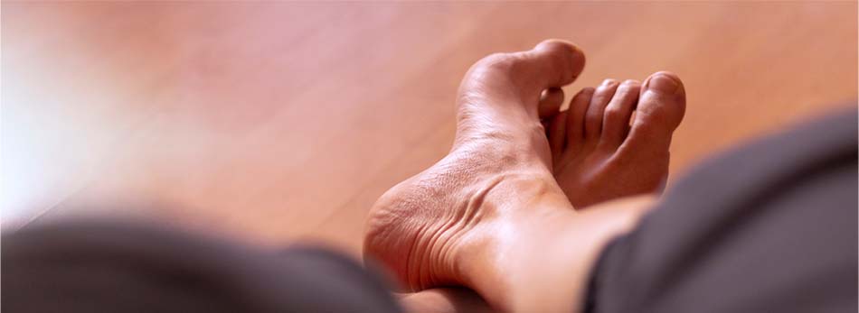 High Arches in Sarasota, FL